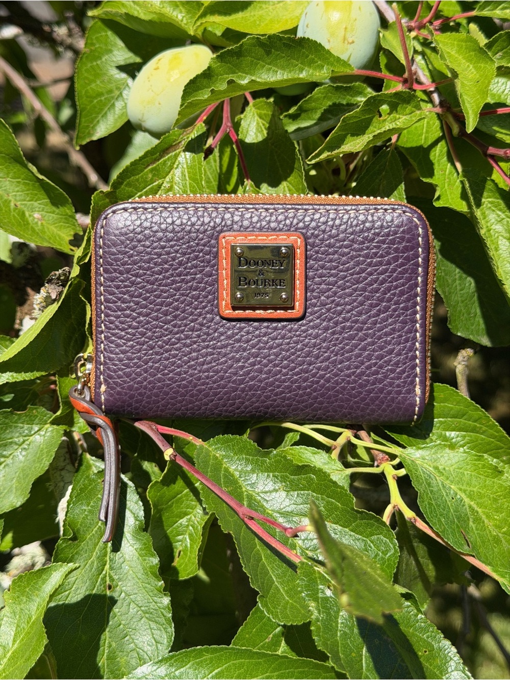 Dooney & Bourke Plum Pebble Leather Zip-Around Wallet with Contrast Trim